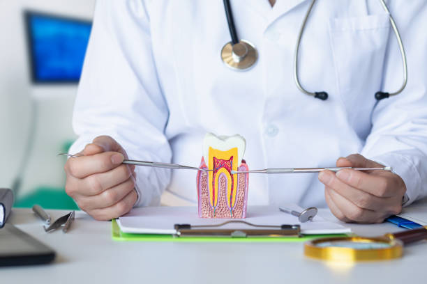 Best Tooth Infection Emergency Dentist  in Dry Ridge, OH